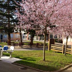 Parc de l'hôpital de Soultz